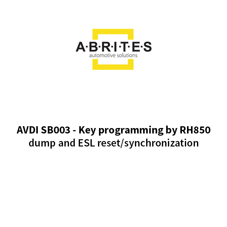 SB003 - AVDI Key programming by RH850 dump and ESL reset/ synchronization