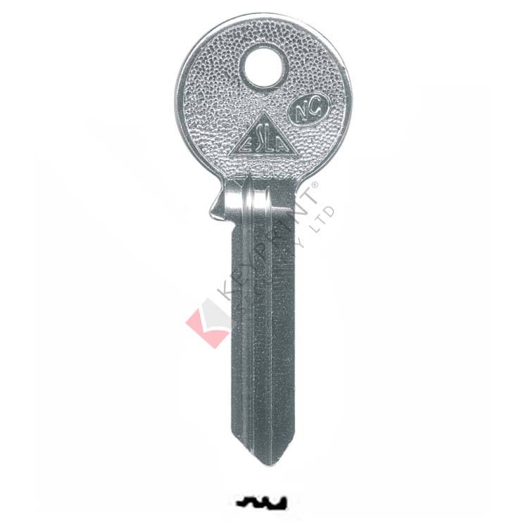 Genuine Esla Cylinder Key Blank NG