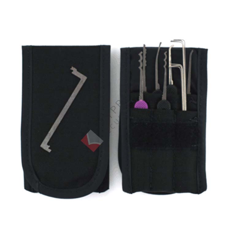 Peterson Ghost Government Steel lock pick set