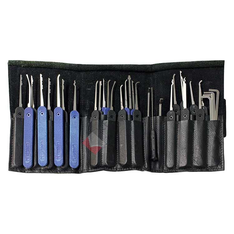 Peterson Phoenix Platinum - Plastic Handle Government Steel Pick Set