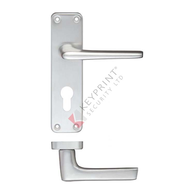 Aluminium Lever Handle on Euro Profile Backplate