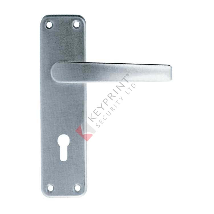 Non-Concealed Fixing Mortice Lock Handles - Boxed