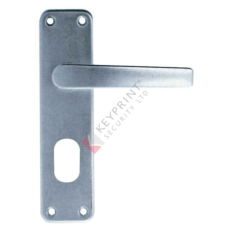 Non-Concealed Fixing Oval Lock Handles - Boxed